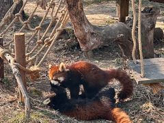 -宁波野生动物园
