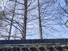 -狼山风景名胜区