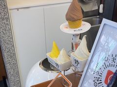 -野人先生Gelato(上海长宁龙之梦店)