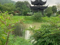 -龙寺生态园