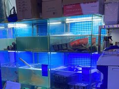 -白仁仔· 活烤海鲜 宵夜(豫园店)