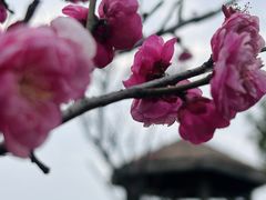 -艾溪湖湿地公园