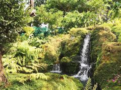 -Chom Cafe and Restaurant