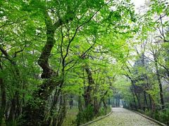 -天门寺