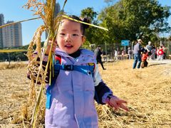 -杨浦科技幼稚园