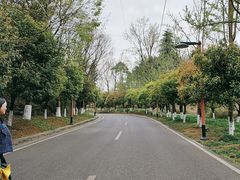 -天河潭旅游度假区