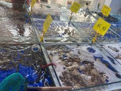 -春华海鲜城(广场西苑店)