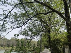 -凤凰沟景区