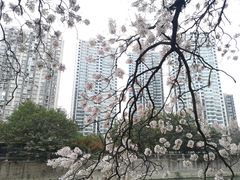 -红星桥(地铁站)