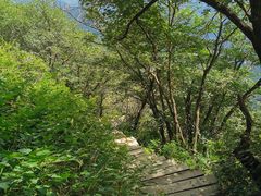 -白草畔自然风景区