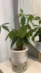-八佰伴8008星级形象店