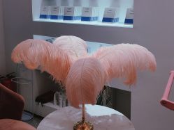 -KS科逆美肤祛痘