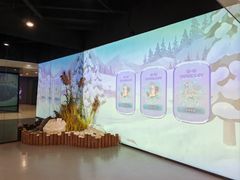 -溱湖国家湿地公园