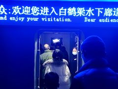 -白鹤梁水下博物馆