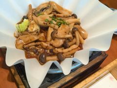 -月龍吟(朝龙汇店)