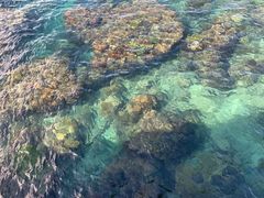 -三亚西岛海洋文化旅游区