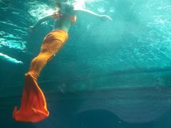 -洛阳龙门海洋馆