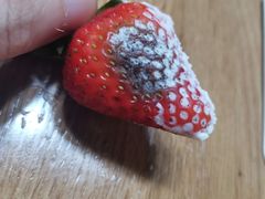 -爱维尔阳光蛋糕(汇金广场店)