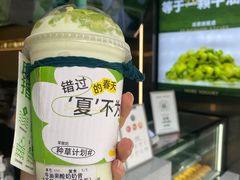 -茉酸奶(春熙路店)