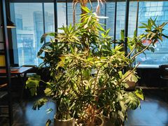 -一乐韩国炸鸡(梅江店)