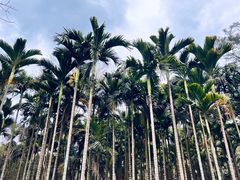 -海南热带野生动植物园