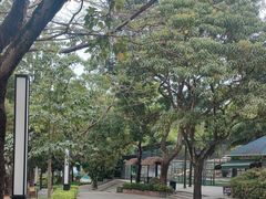 -深圳野生动物园