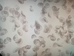 -沈阳海洋探索中心