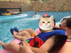 -苏州乐园森林水世界