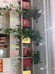 -MyStudio形象管理中心