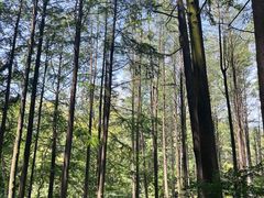 -波尔登森林公园