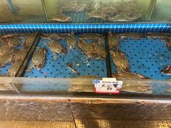 -鲜得莱渔港·小平岛海胆馆(七贤岭店)