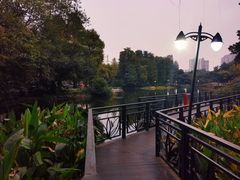 -晓港公园