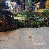 一家清净而温馨的咖啡屋