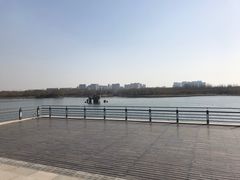 -大兴滨河森林公园