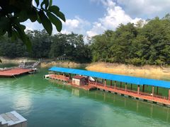 -广州市流溪河国家森林公园