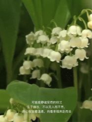 点击看大图 -美丽妈妈产后恢复中心(南桥旗舰店)