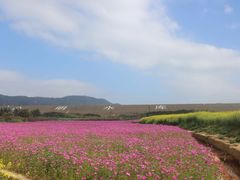 -光明小镇欢乐田园