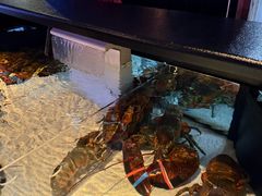 -RED LOBSTER(中城西店)