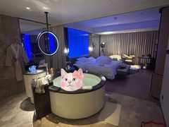 -北京索菲特大酒店