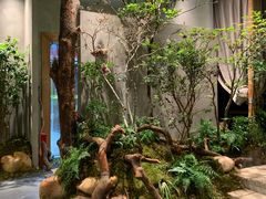 -森SPA·泰式按摩·精油Massage(宝安中心店)