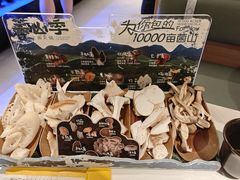 -芸山季·云南野生菌火锅(南翔印象城MEGA店)