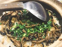 -优之名鹅城