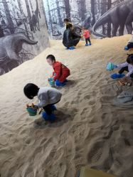 -恐龙探索乐园(磁器口店)