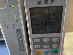 -伟伟宠物医院·CT影像中心·瑞派犬猫综合性门诊(汉口总院)