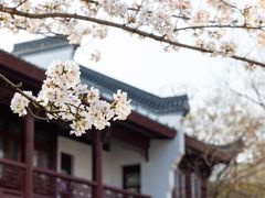 -堤角公园
