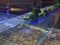 -聚盛源蒸汽海鲜火锅烤肉自助(巨川金海岸购物广场店)