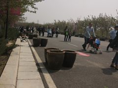 -古柏渡飞黄旅游区