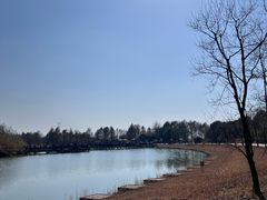 -宁波杭州湾国家湿地公园