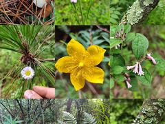 -昆明市金殿名胜区