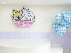 -汪说·狗咖·拼豆·宠物周边DIY(旺城大厦店)